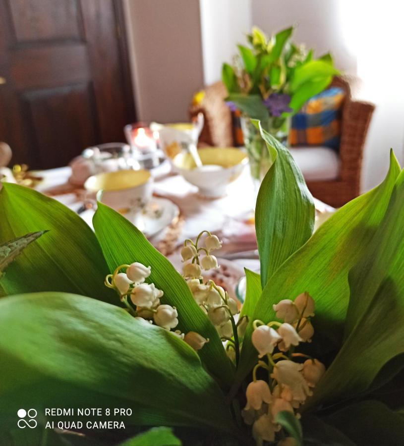 B&B Va...Lentina Piavata エクステリア 写真