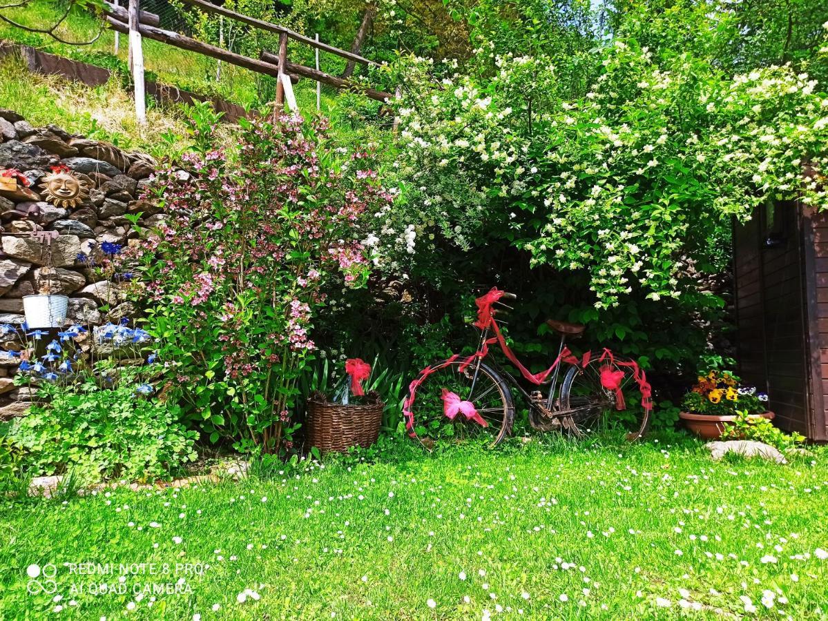 B&B Va...Lentina Piavata エクステリア 写真